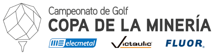 Copa de la Minería