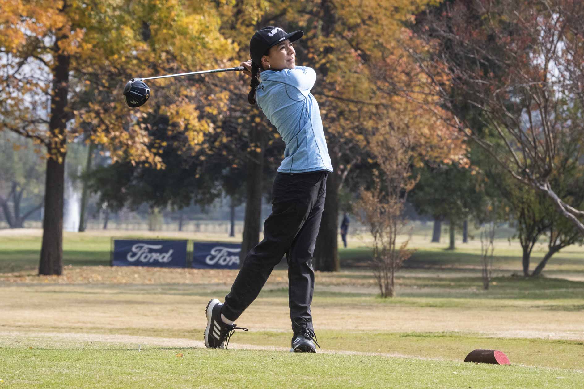 PWCC - 11/5/2024